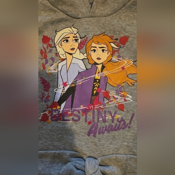 DISNEY FROZEN 11 DESTINY AWAITS ELSA & ANNA GRAY HOODIE SIZE 6X - Picture 3 of 8